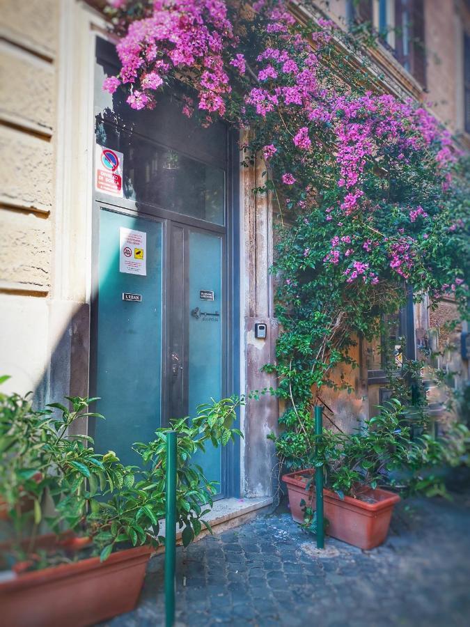Trastevere Glasshouse Рим Экстерьер фото